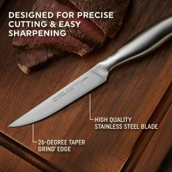 Alternative view of Chicago Cutlery Insignia Steel 4-piece Steak Knife Set